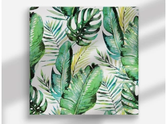 Obraz na plátně Tropické listy, 40x40 cm