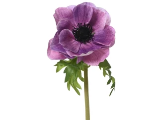 Umělá květina Vlčí mák 50 cm, fialová