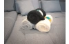 Deka Kuschelteddy 150x200 cm, antracitová