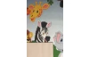 Dětský koberec Jungle 80x150 cm, motiv zvířátka, zelený