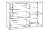 Komoda Arank 118  cm, dub mauvella/černá