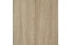 Šatní skříň Carlos, dub sonoma, 100 cm