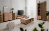 TV skříňka Merida, dub artisan/antracit