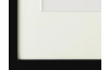 Rámovaný obraz Botanical IV 35x50 cm, černobílý